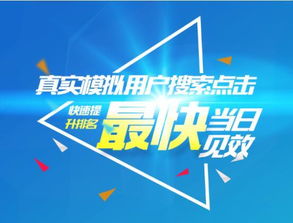 蜂鳥搜索營(yíng)銷系統(tǒng) 賦能上海企業(yè)高效網(wǎng)絡(luò)推廣的專業(yè)外包服務(wù)