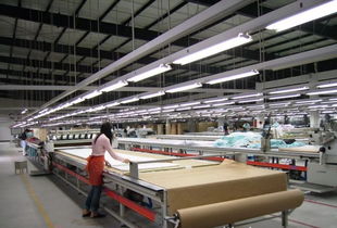 優質工廠成稀缺資源 從服裝加工到軟件外包，解析“訂單發不出去”背后的結構性變革