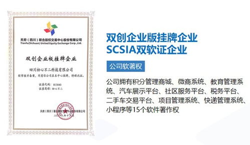 成都軟件開發 自建團隊與外包服務，如何選擇更優？